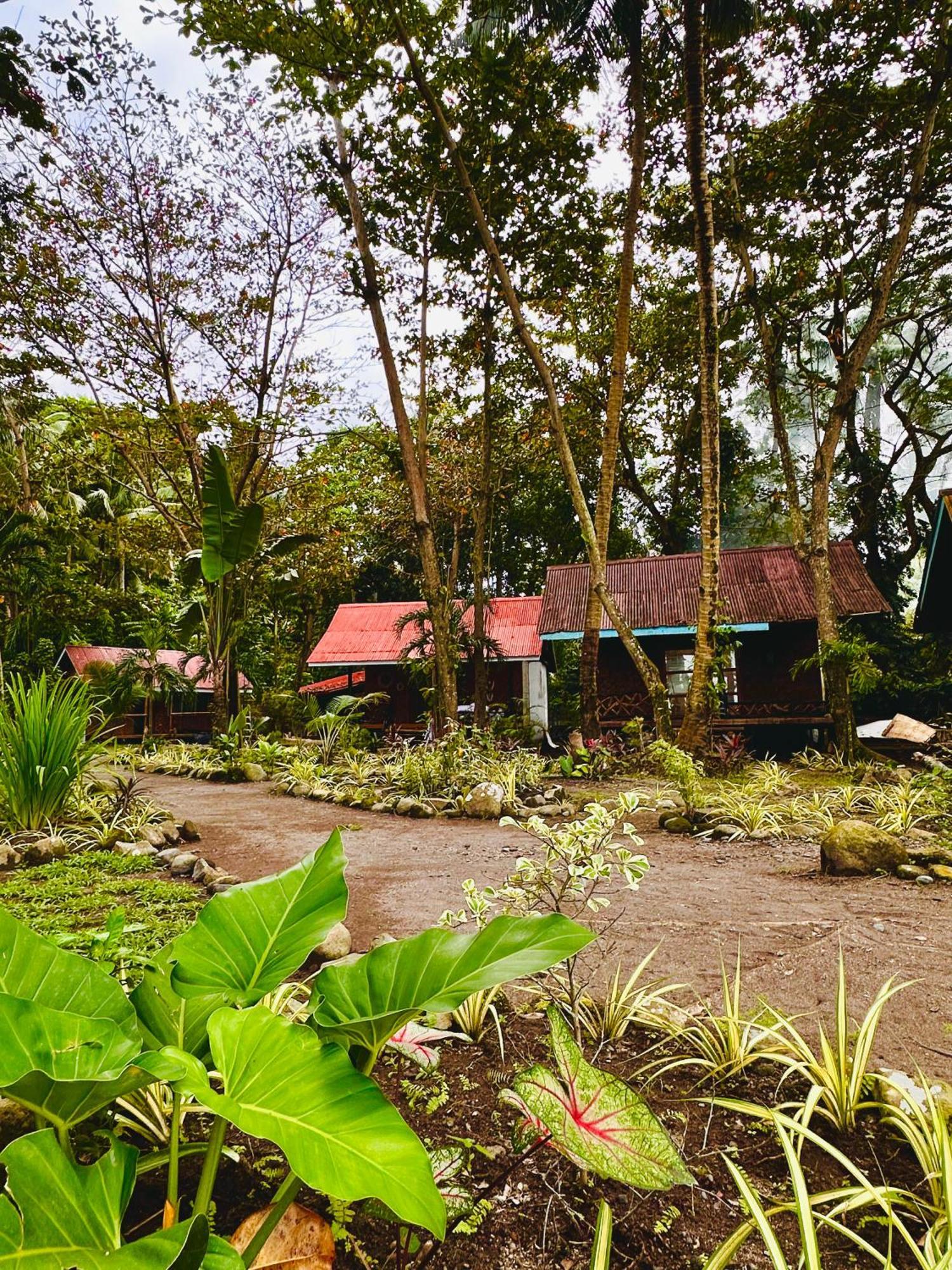Playa Del Fuego Camiguin Beach Hostel & Resort マンバヤオ エクステリア 写真