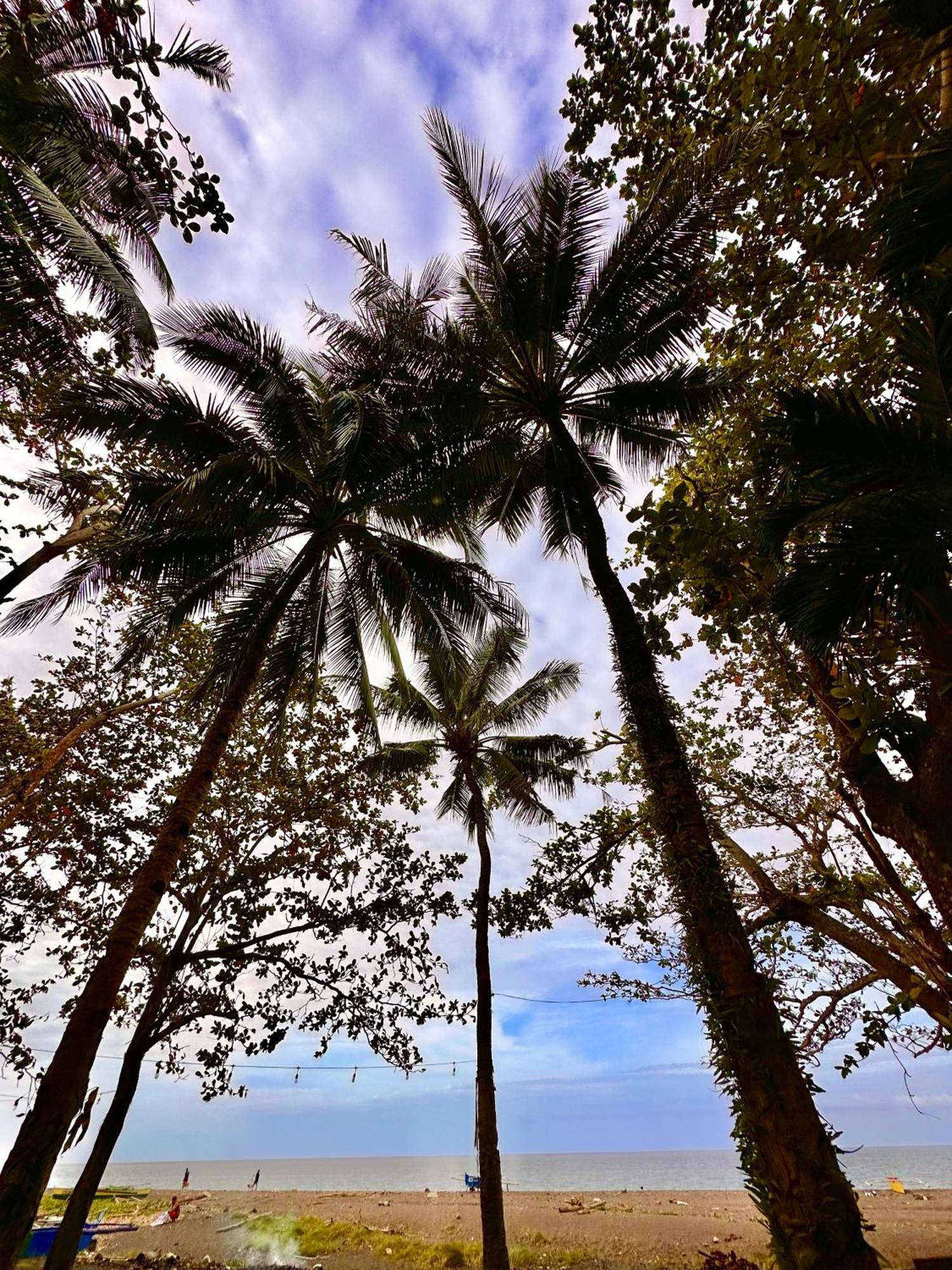 Playa Del Fuego Camiguin Beach Hostel & Resort マンバヤオ エクステリア 写真